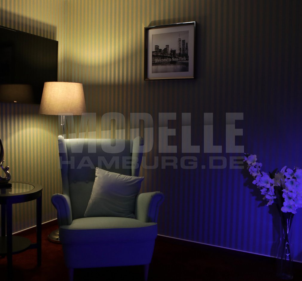 Luxus Apartment und Top Verdienstmöglichkeit ..